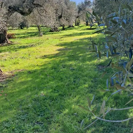 3 Km Dal Mare Villa