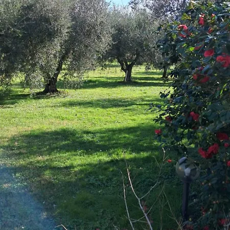 3 Km Dal Mare וילה קסטנייטו קרדוצ'י